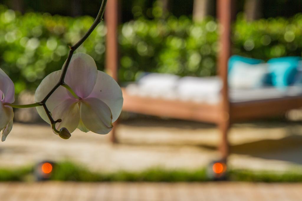 Marseilles Beachfront Hotel Miami Beach Bagian luar foto